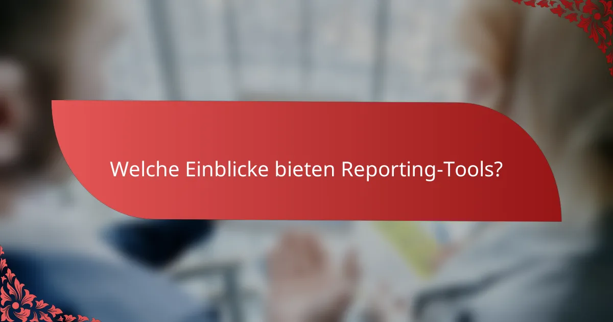 Welche Einblicke bieten Reporting-Tools?