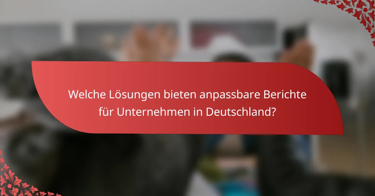 Welche Lösungen bieten anpassbare Berichte für Unternehmen in Deutschland?