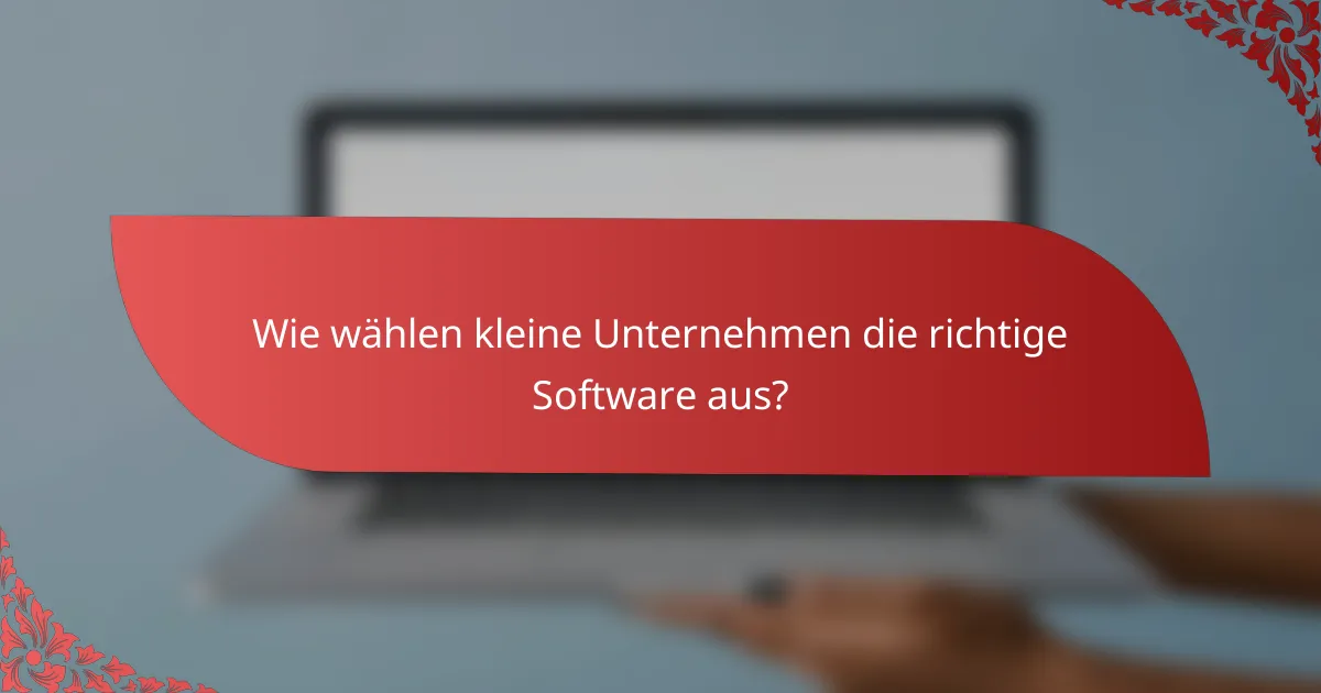 Wie wählen kleine Unternehmen die richtige Software aus?